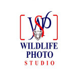 wildlifephoto